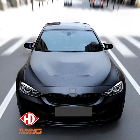 DIEDERICHS Капот двигателя HD Tuning